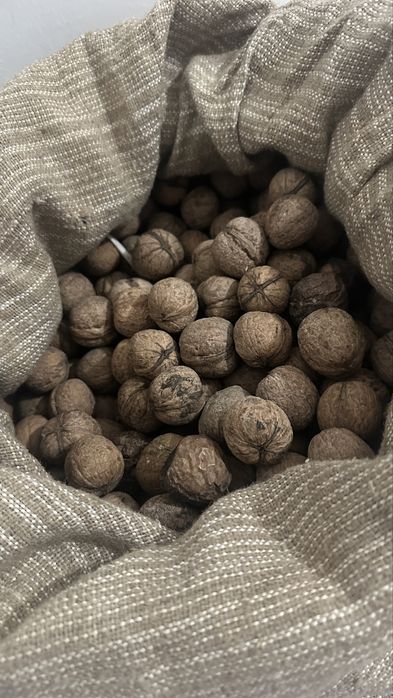 Орехи грецкие. Хорошие.