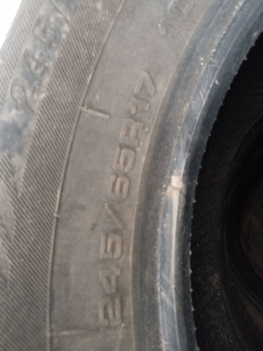 Шины зимние Rotation Boto