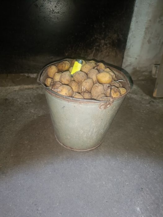 Продам мелкий картофель дачный