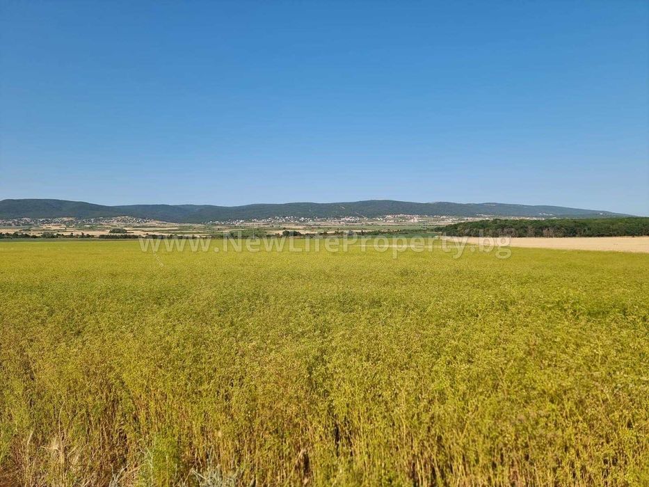 Земеделски парцел в м. Дренака, с. Тънково, обл. Бургас