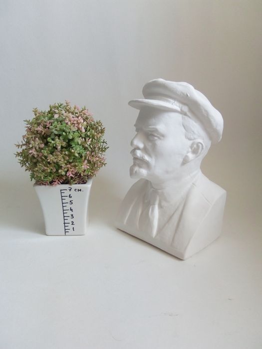 Бюст Владимира Ильича Ленина.