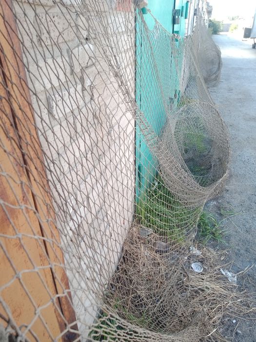 Рыбатский ставленик