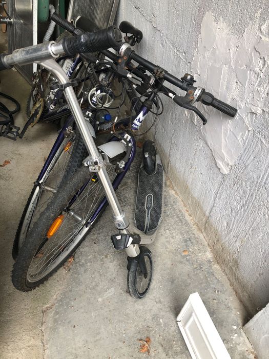 Biciclete Magis, VTT si o trotineta Adulți