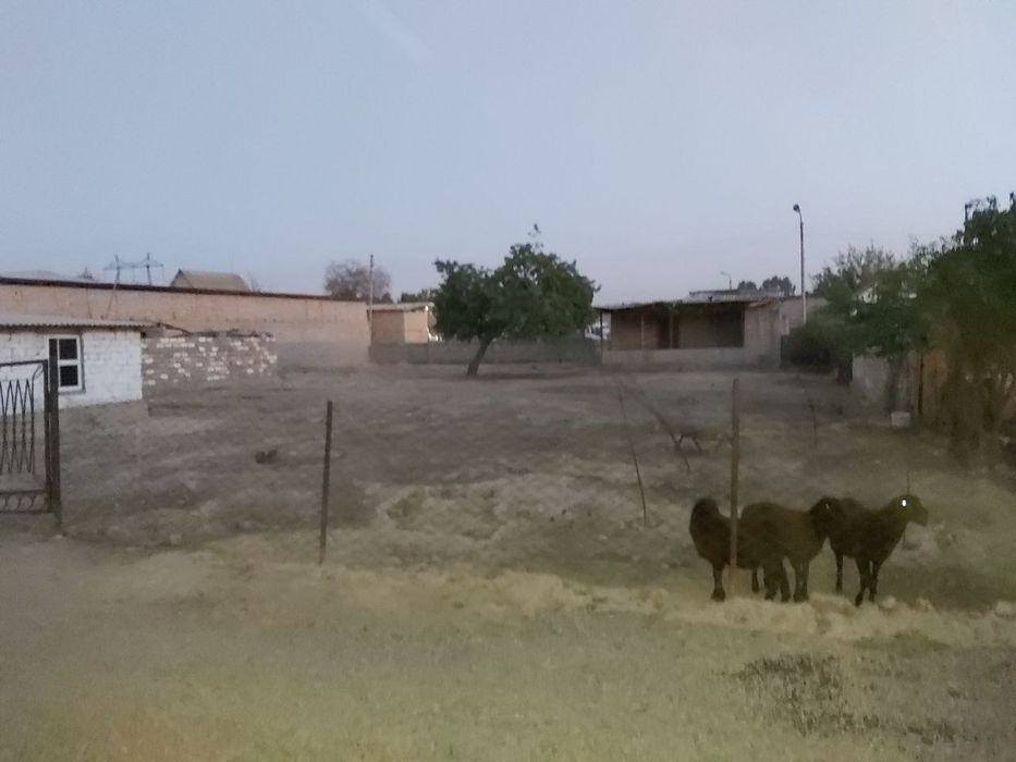 Прадайотса дачини участка