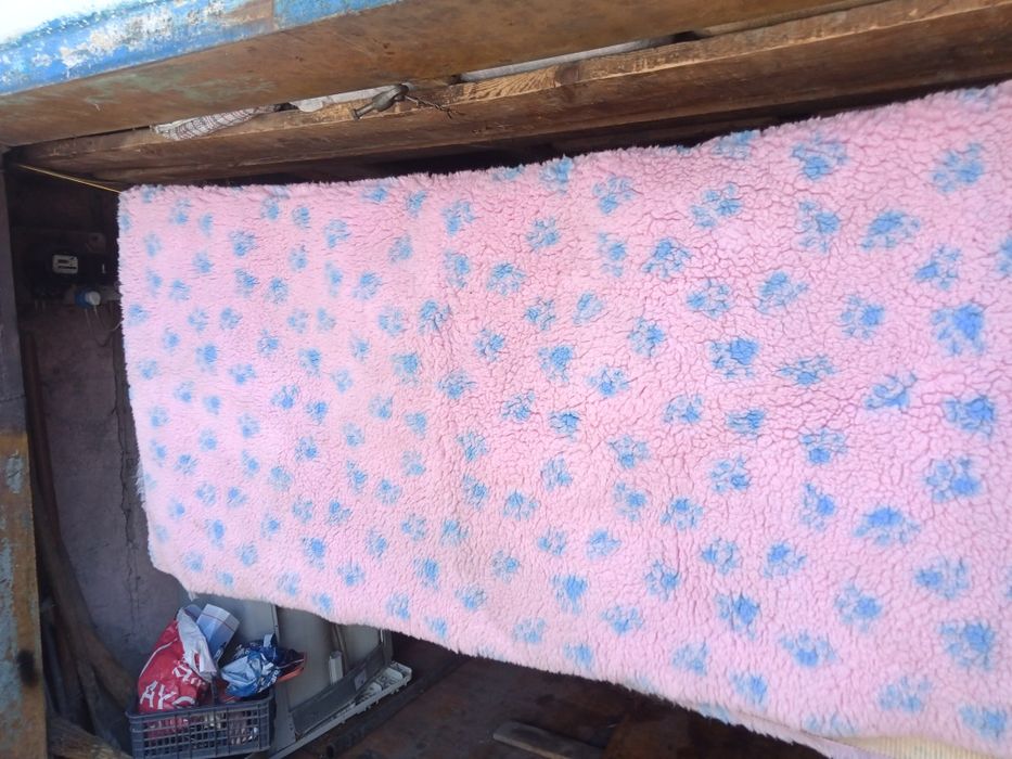 Одеяло для животных