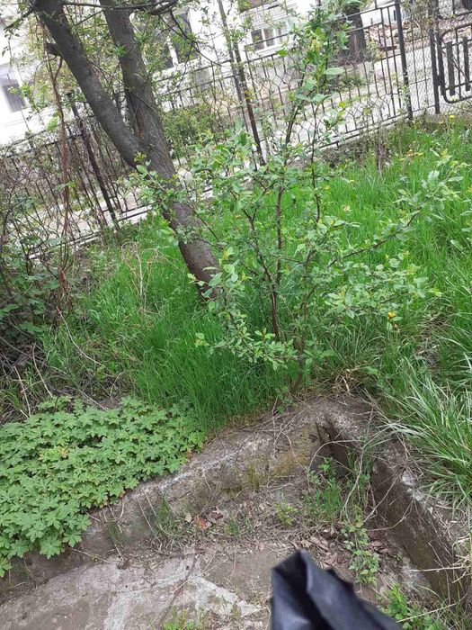 Продавам къща, гр.Перник