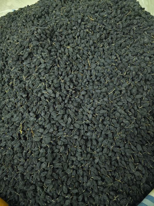 Дориланмаган табиий тоғ майизи сотилади