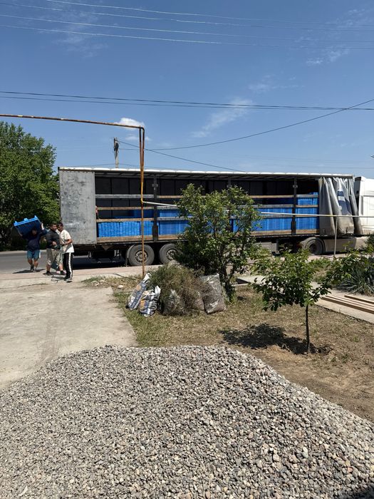 Импортные пластиковые европоддоны.