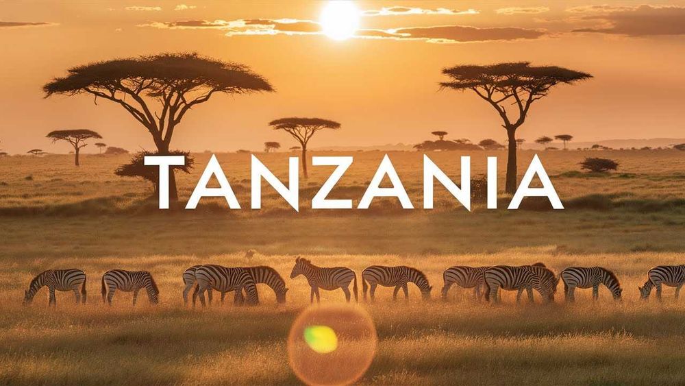 Виза в Танзанию, ЮАР, Кения и Уганду Tanzania vizasi