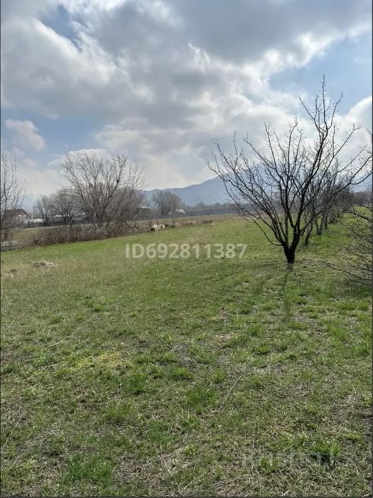 Продам Участок В Поселке Жандосов