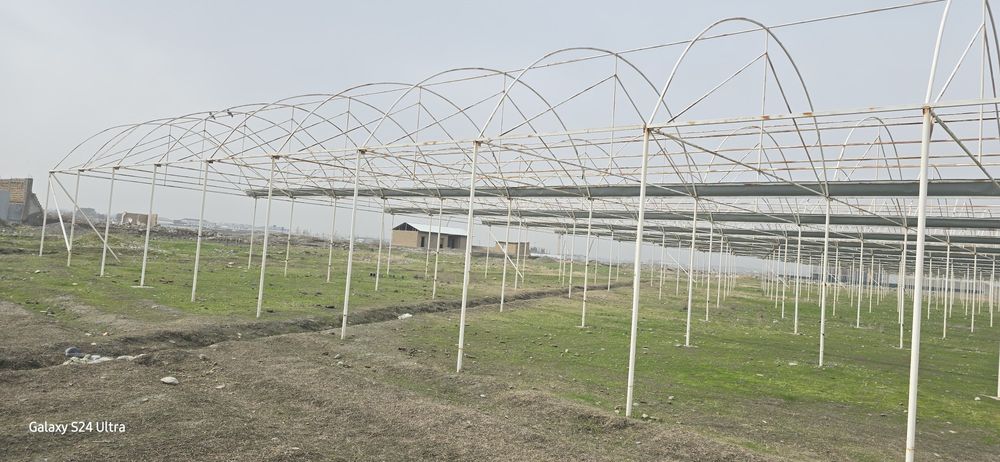Теплица 1 га  ва теплица метал конструкциялари сотилади