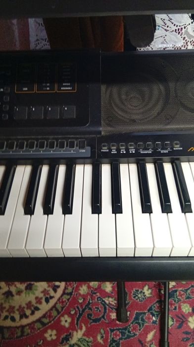Sintetizator Casio MZX 300