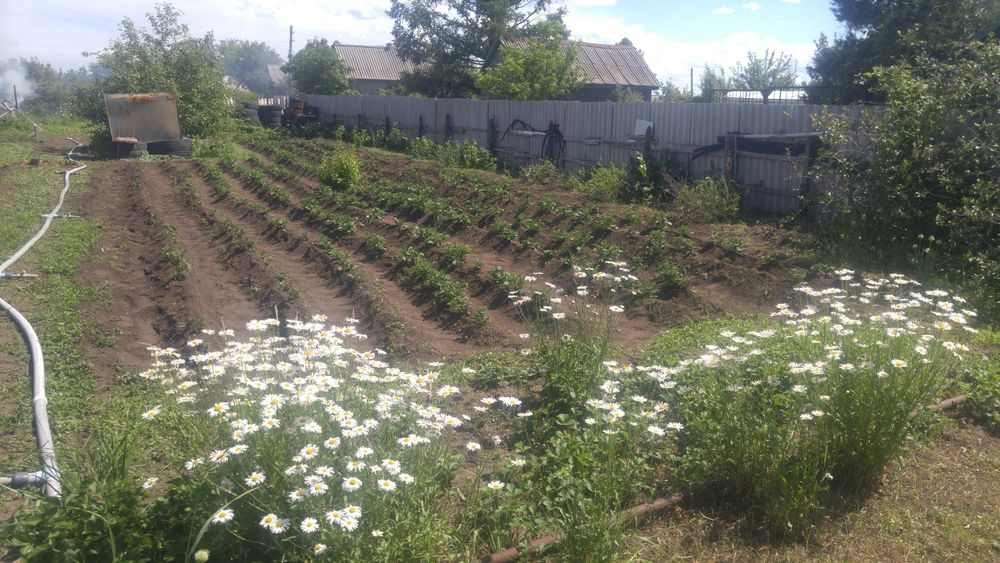 Продам дачу в СО Чапаева