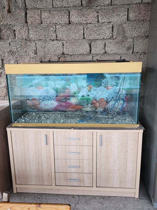 Продаётся аквариум