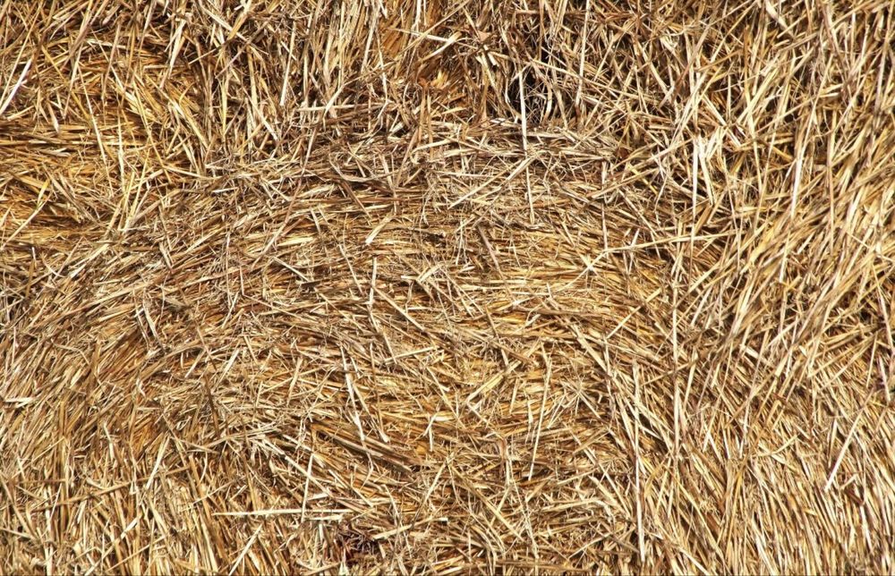 Donez paie pentru așternut la animale