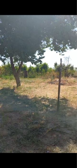 тезда сотилади дача