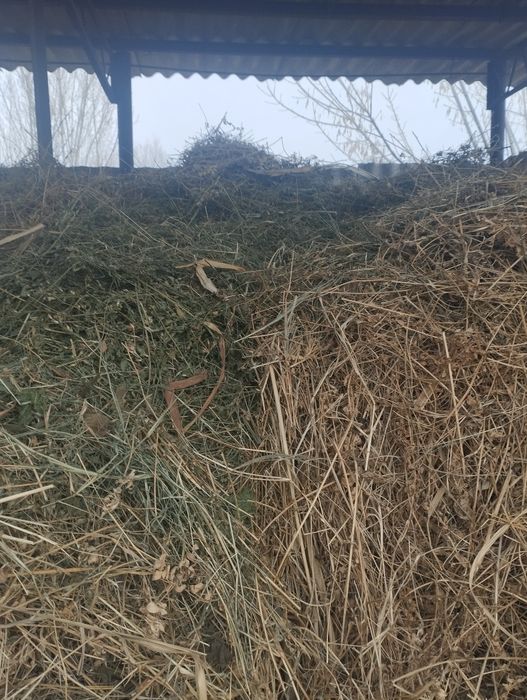 Беда хашак сотилади