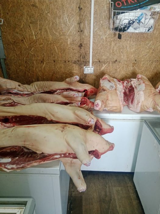 Свинина ( по низкой цене )