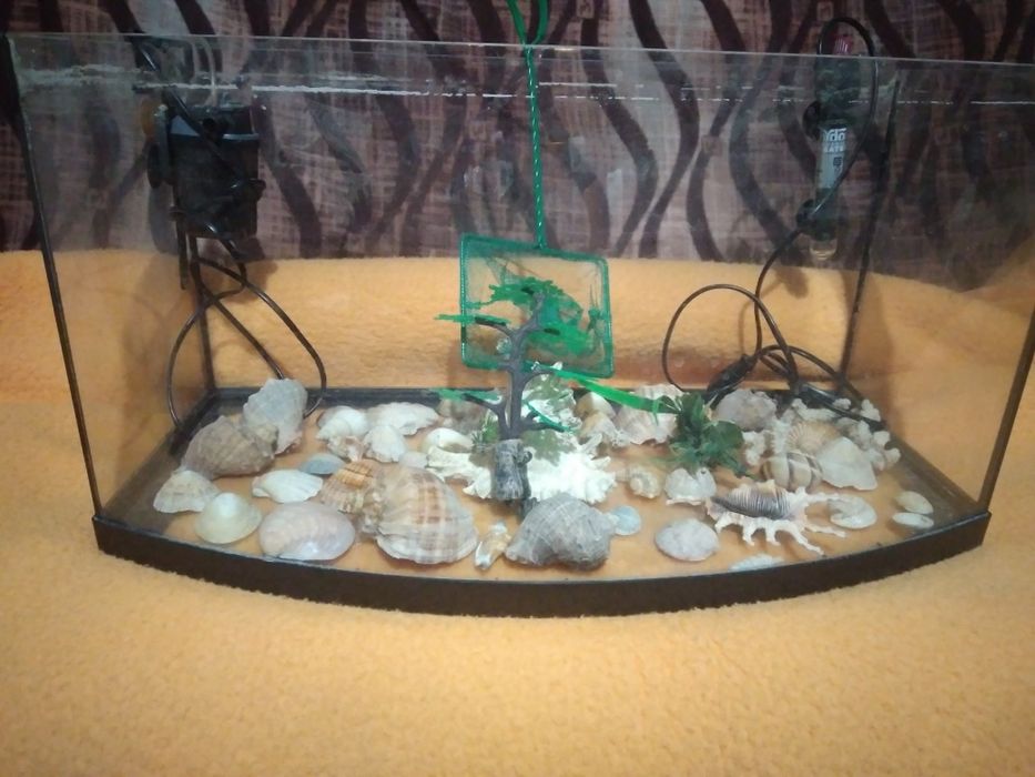 Vand acvariu cu filtru ciorpac incalzitor  cu termostat reglabil