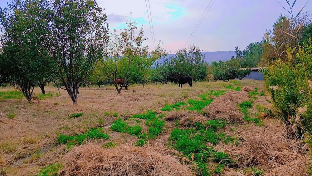 Бог сотилади 1г кадастр килинган номингизга утади
