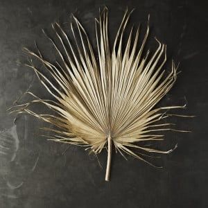 Decoratiune de perete frunza de palmier