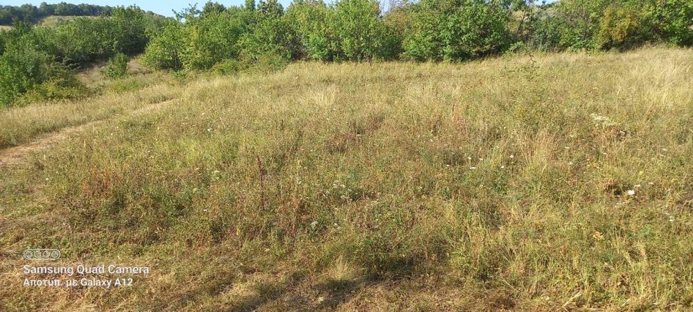 Vând teren  Podenii Noi, Magura