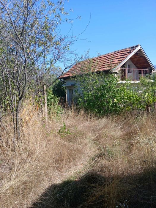 2бр. Вили в непосредствена близост.