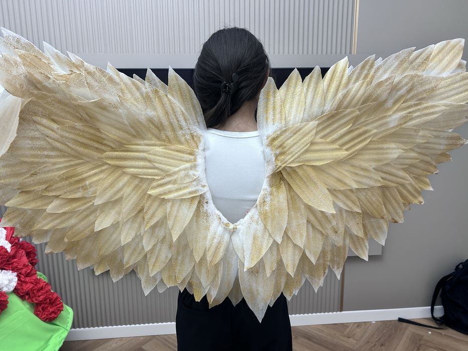 Крылья из паралона 2000тг