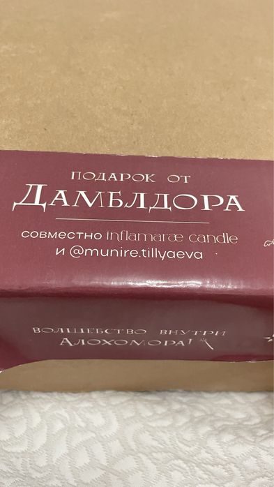 Набор на тему Гарри Поттера «Подарок от Дамблдора»