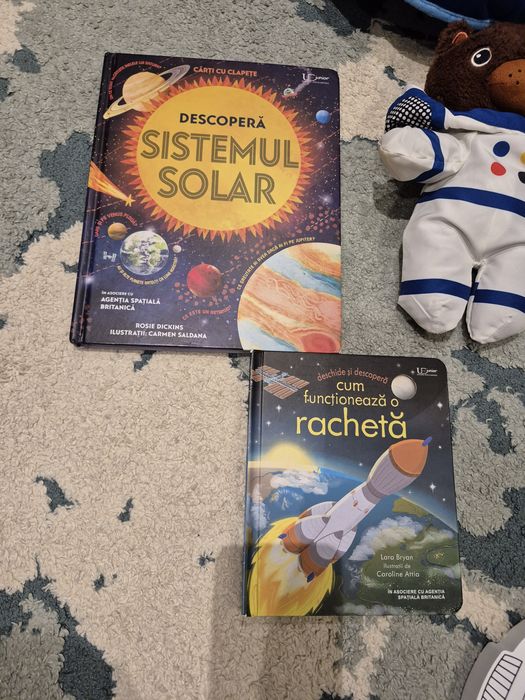 Lot jucarii, carti, puzzle si joc de memorie