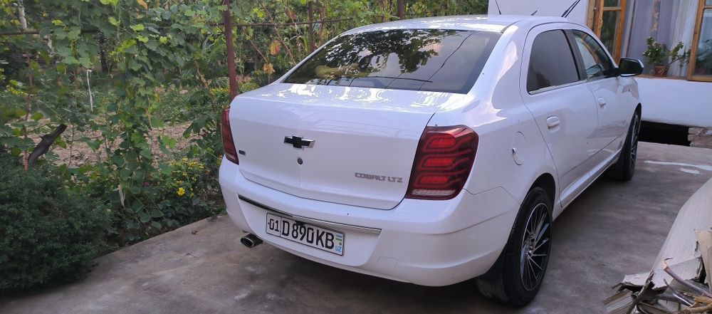 Kobalt sotaman Metan bor 1yil boʻldi taqilganiga