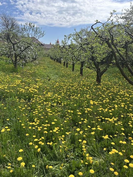 Casa de vanzare in localitatea Ciumarna la 15 minute de Zalau