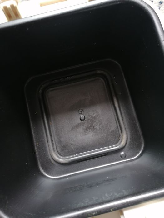 Fripteuza Delimano Perla