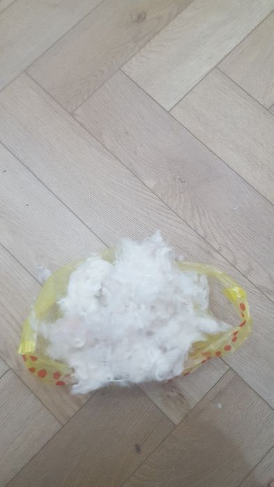 Шерсть собачья продам