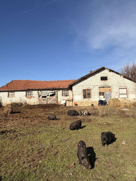 Продава се Промишлена сграда в с. Коевци, Област Велико Търново - 1040 кв.м за 98 €/кв.м - Снимка #3