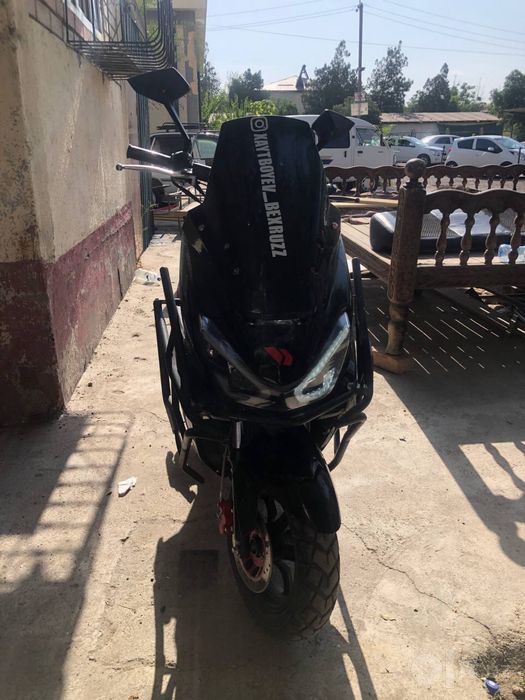 Skutr tiger