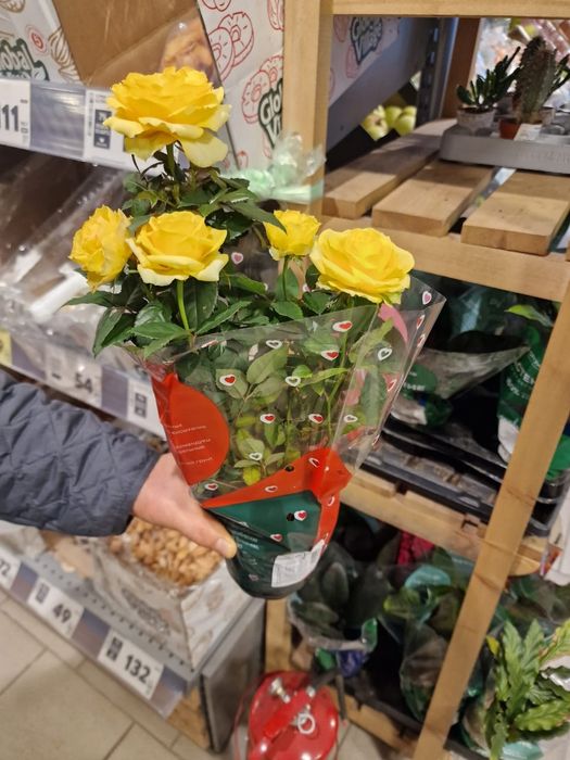 Продам миниатюрную куставую розу.