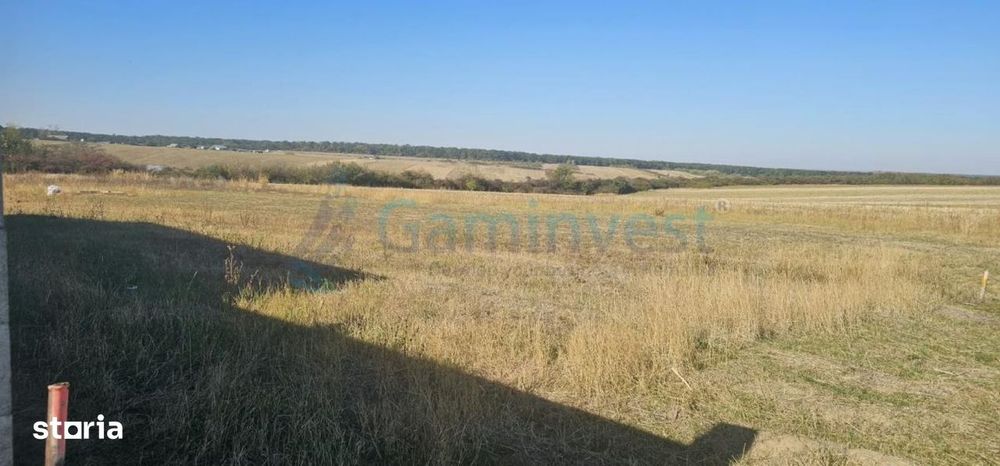 Teren intravilan de vanzare in Cordau, Bihor, Gaminvest, V4766