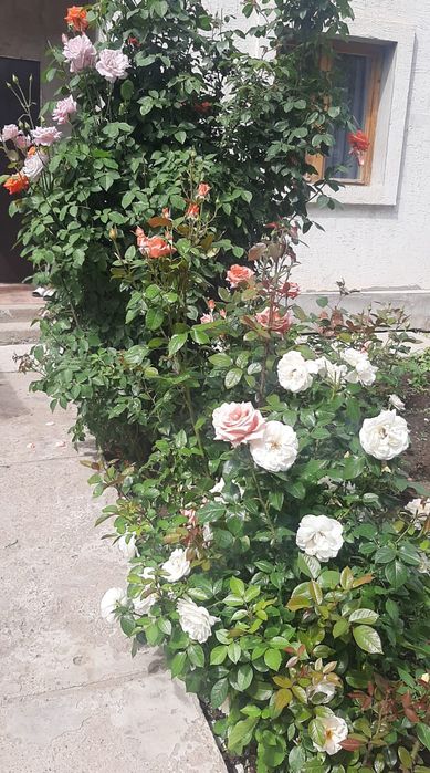 Продается дом 2 уровней