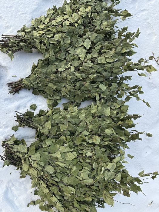 березовый веники