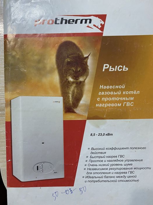 Продам протерм Рысь
