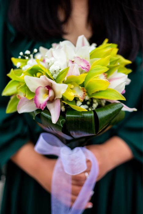 Organizare Evenimente