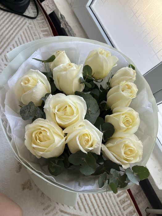 Ак роза келисим бар жазыныздар