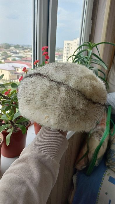 Продаются шорты Zara и др.