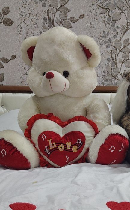 Teddy Ayiq eng kottasi