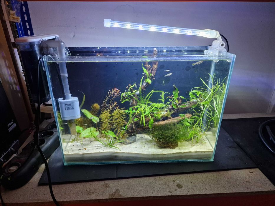 Acvariu 23 l complet echipat