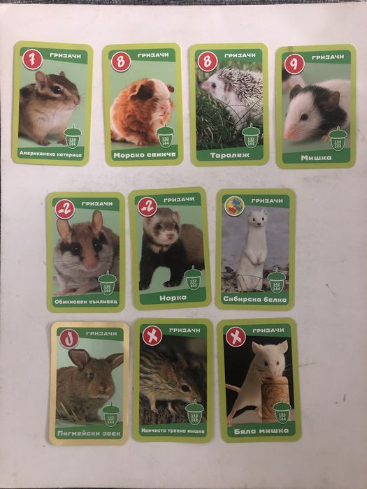 Карти Любими мъничета