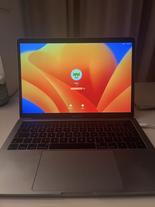 Macbook Pro 13-Inch, 2017, Thunderbolt 3 Bolts