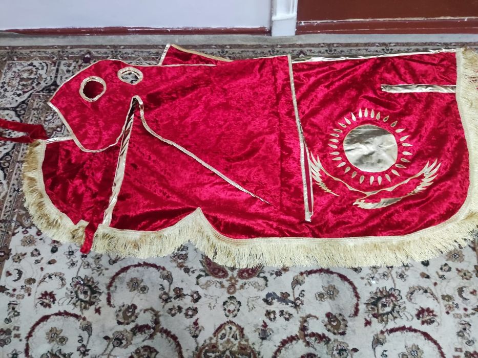 Әйелдің кискасына қарау