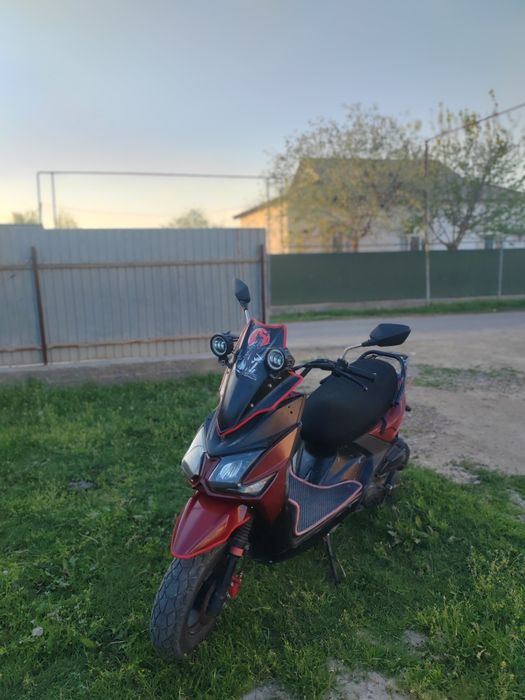 Самурай беннали 180 сс тартысы зор